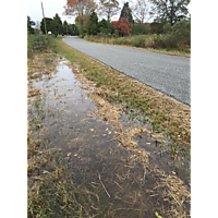 Gloucester King Tide image